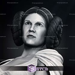 New Hope Leia 3D Printer Files