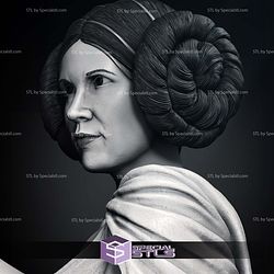 New Hope Leia 3D Printer Files