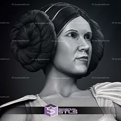 New Hope Leia 3D Printer Files