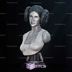 New Hope Leia Bust Portrait 3D Printer Files