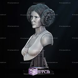 New Hope Leia Bust Portrait 3D Printer Files