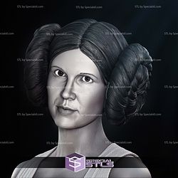 New Hope Leia Bust Portrait 3D Printer Files