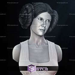 New Hope Leia Bust Portrait 3D Printer Files