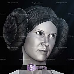 New Hope Leia Bust Portrait 3D Printer Files