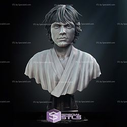 New Hope Luke Skywalker Bust Portrait 3D Printer Files