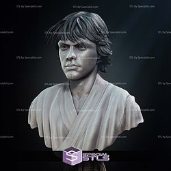 New Hope Luke Skywalker Bust Portrait 3D Printer Files