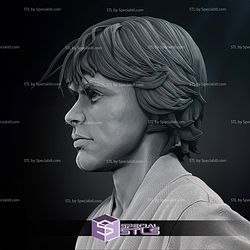 New Hope Luke Skywalker Bust Portrait 3D Printer Files