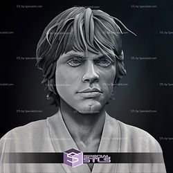 New Hope Luke Skywalker Bust Portrait 3D Printer Files