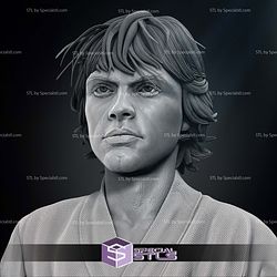 New Hope Luke Skywalker Bust Portrait 3D Printer Files