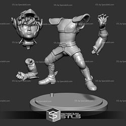 Saint Seiya Pegasus Chibi 3D Printer Files