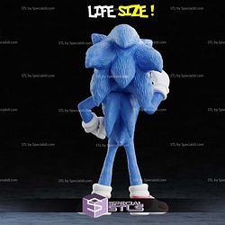 Life Size Sonic 3D Printer Files