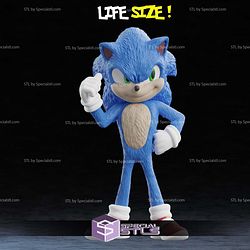 Life Size Sonic 3D Printer Files