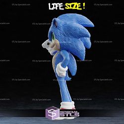 Life Size Sonic 3D Printer Files