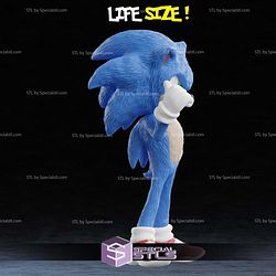 Life Size Sonic 3D Printer Files