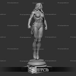 New 52 Wonder Woman 3D Printing Models