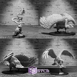 June 2024 Set 104 - Safari Tour Epic Miniatures