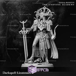 June 2024 Fantasy Archvillain Games Miniatures