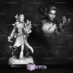 June 2024 Moonlight Minis Miniatures