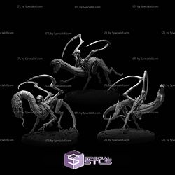 June 2024 Reward Creature Caster Miniatures