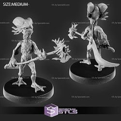 March 2022 Set 44 - Caves of Despair Epic Miniatures