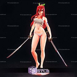 Erza Scarlet Battle 3D Printing Models