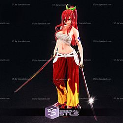 Erza Scarlet Battle 3D Printing Models