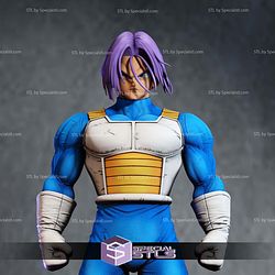 Future Trunks and Armor 3D Printing Models