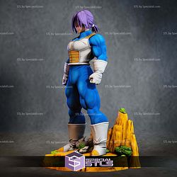 Future Trunks and Armor 3D Printing Models