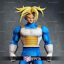 Future Trunks and Armor 3D Printing Models