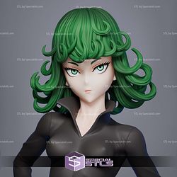 Tatsumaki 2024 3D Printing Models