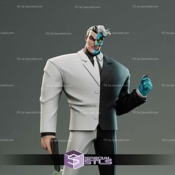 Two Face Animated 3D Printing Models