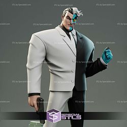 Two Face Animated 3D Printing Models