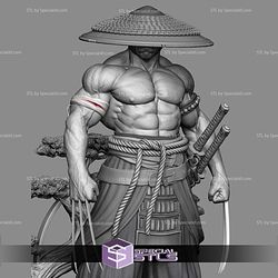 Wolverine Logan Samurai 3D Printing Models