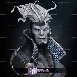 X Men Havok Bust Portrait 3D Printing Models