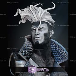 X Men Havok Bust Portrait 3D Printing Models