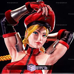 Cammy Red Suit Street Fighter 3D Printing Models