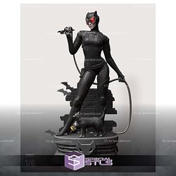 Catwoman Rope and Cat 3D Printing Models