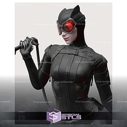 Catwoman Rope and Cat 3D Printing Models