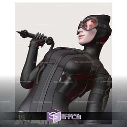 Catwoman Rope and Cat 3D Printing Models