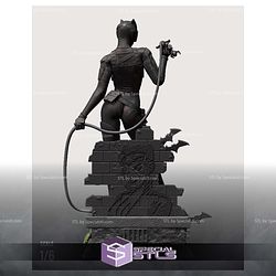 Catwoman Rope and Cat 3D Printing Models