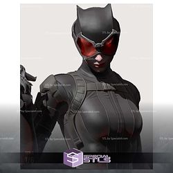 Catwoman Rope and Cat 3D Printing Models