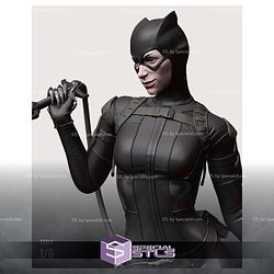 Catwoman Rope and Cat 3D Printing Models