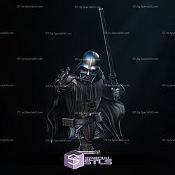 Darth Vader Return of Jedi Bust 3D Printing Models