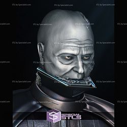 Darth Vader Return of Jedi Bust Portrait 3D Printing Models