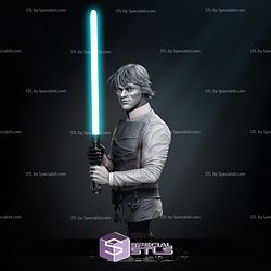 Luke Return of Jedi Bust 3D Printing Models