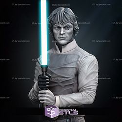 Luke Return of Jedi Bust 3D Printing Models