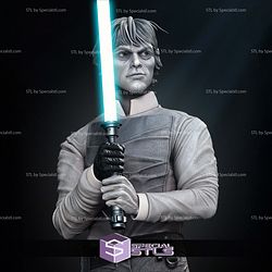 Luke Return of Jedi Bust 3D Printing Models