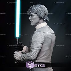 Luke Return of Jedi Bust 3D Printing Models