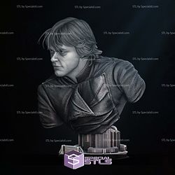 Luke Return of Jedi Bust Portrait 3D Printing Models