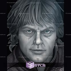 Luke Return of Jedi Bust Portrait 3D Printing Models